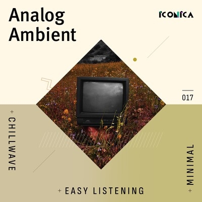 Analog Ambient: Chillwave Minimal Easy Listening