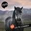 Celtic Cowboy